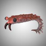 Anomalocaris (for Poser)