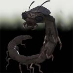 Blattodacid (for Poser)