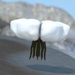 Bloat Herb (for Poser)