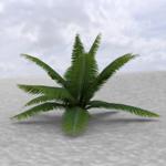 Middle East Palm Trees (for DAZ Studio)