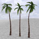 Middle East Palm Trees (for DAZ Studio)