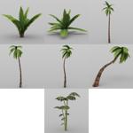 Middle East Palm Trees (for DAZ Studio)