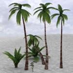 Click to see information about the 'Middle East Palm Trees (for DAZ Studio)'.