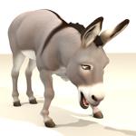 Buddy Burro (for Poser)