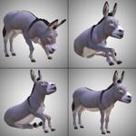 Buddy Burro (for Poser)