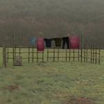 Shanty Town Buildings 1: Accessories (for DAZ Studio)